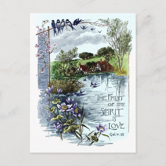 De vrucht van de geest is liefde briefkaart (Voorkant)