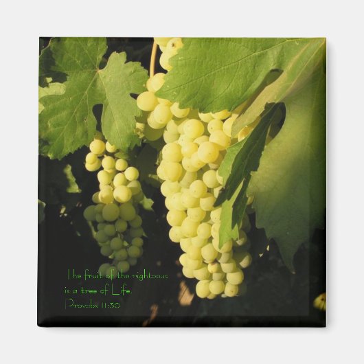 De vrucht van de rechtvaardigen is een boom van... magneet (Voorkant)