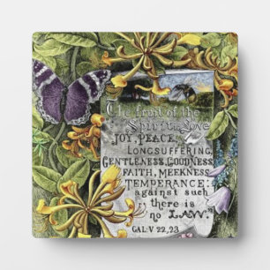 De vruchten van de gedistilleerde drank fotoplaat