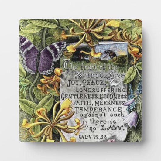 De vruchten van de gedistilleerde drank fotoplaat (Voorkant)