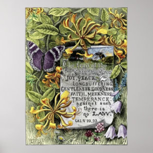 De vruchten van de gedistilleerde drank poster
