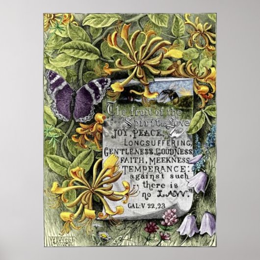 De vruchten van de gedistilleerde drank poster (Voorkant)