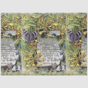 De vruchten van de gedistilleerde drank tissuepapier