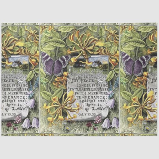 De vruchten van de gedistilleerde drank tissuepapier (Voorkant)