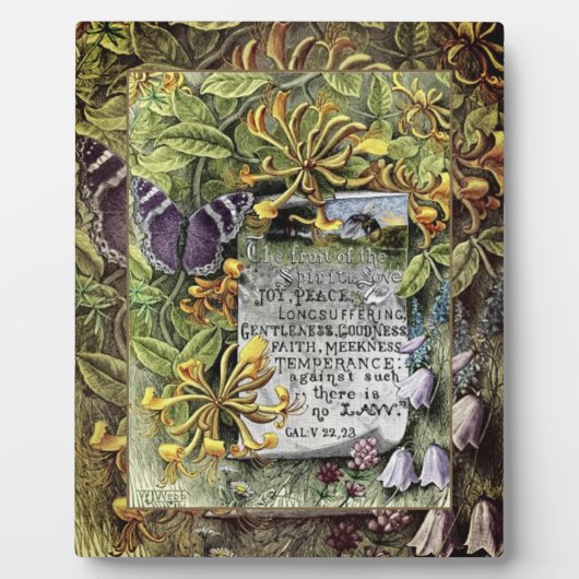 De vruchten van de gedistilleerde Plaque Fotoplaat (Voorkant)