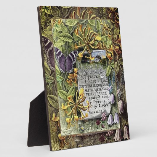 De vruchten van de gedistilleerde Plaque Fotoplaat (Zijkant)