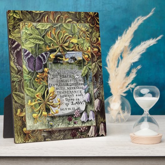 De vruchten van de gedistilleerde Plaque Fotoplaat (Zijkant)