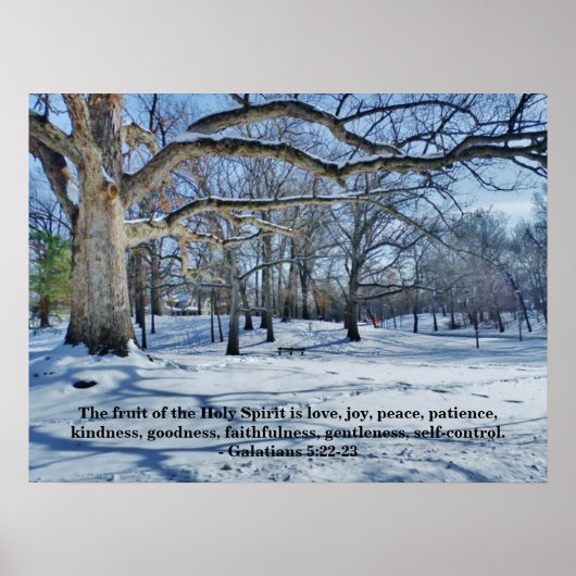 DE VRUCHTEN VAN DE GEDISTILLEERDE POSTER (Voorkant)