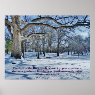 DE VRUCHTEN VAN DE GEDISTILLEERDE POSTER