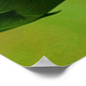 De vruchten van de herinnering aan de gedistilleer poster (Hoek)