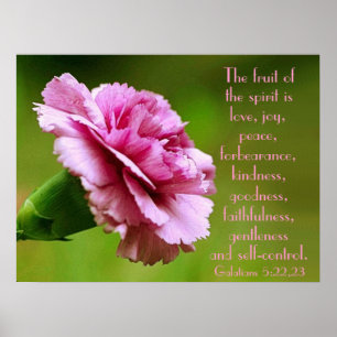 De vruchten van de herinnering aan de gedistilleer poster