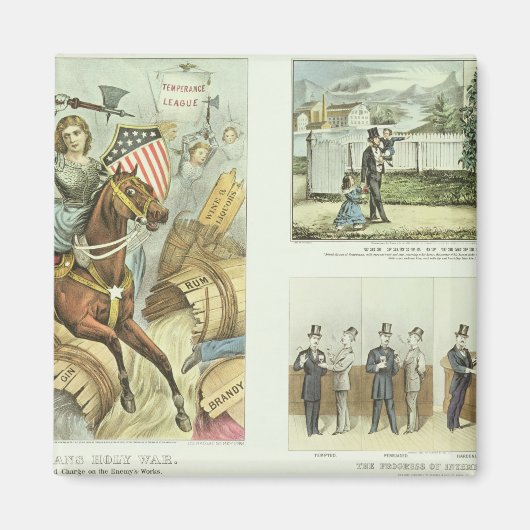 De vruchten van de temperatuur magneet (Voorkant)