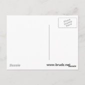 De VS Sullivanen (DD-537) Briefkaart (Achterkant)