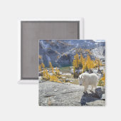 De VS, WA, de alpiene meren zijn klederheid. Magneet (Voorkant / Achterkant)