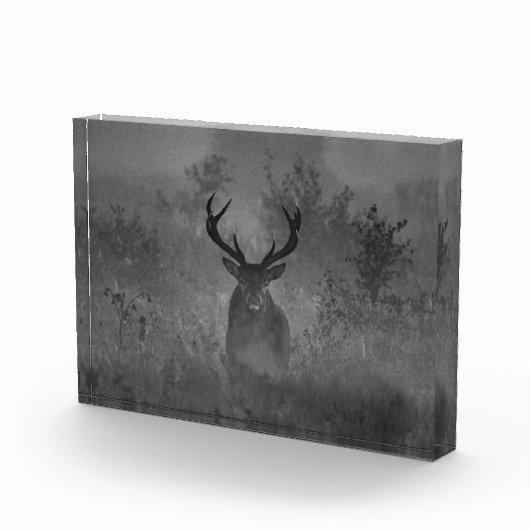 De vuist in de vuist fotoblokken (Rechts)