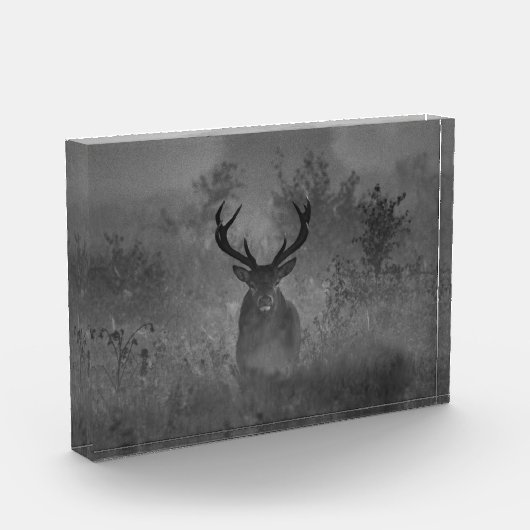 De vuist in de vuist fotoblokken (Links)