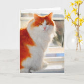 De vurige Noorse BosKaart van de Nota van de Kat Kaart (Gele Bloem)