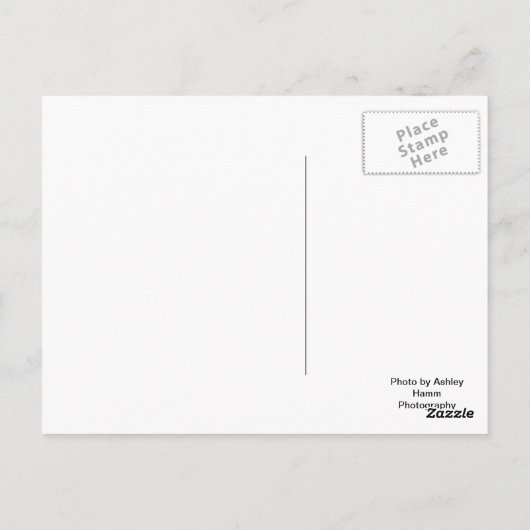 De vuurtoren van Chicago Briefkaart (Achterkant)