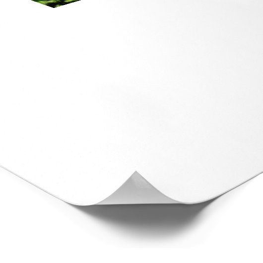 De vuurtoren van Currituck Poster (Hoek)