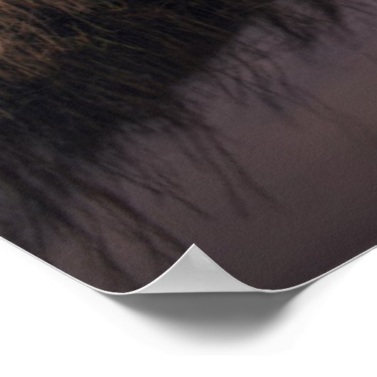 De vuurtoren van het eiland Bodie op Sunset Poster (Hoek)