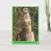 De Waakzame Kaart van Meerkat (Voorkant)