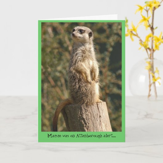 De Waakzame Kaart van Meerkat (Gele Bloem)