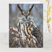 De waakzame Uil van Eagle Kaart (Gele Bloem)