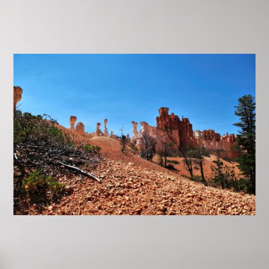 De waanzin van Bryce Canyon Poster (Voorkant)