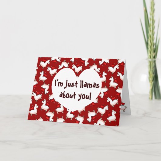 De Waanzin van de lama Feestdagen Kaart (Voorkant)