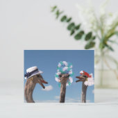 De waanzinnige Dag van het Pet in Races Briefkaart (Staand voorkant)