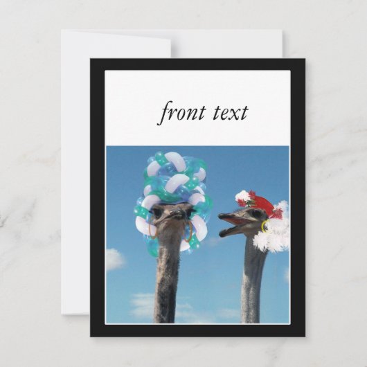 De waanzinnige Dag van het Pet in Races Kaart (Voorkant)