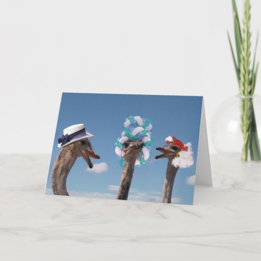 De waanzinnige Dag van het Pet in Races Kaart (Voorkant)