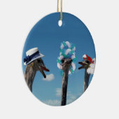 De waanzinnige Dag van het Pet in Races Keramisch Ornament (Rechts)