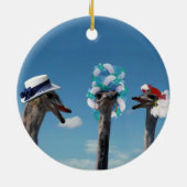 De waanzinnige Dag van het Pet in Races Keramisch Ornament (Achterkant)