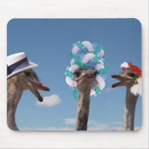 De waanzinnige Dag van het Pet in Races Muismat