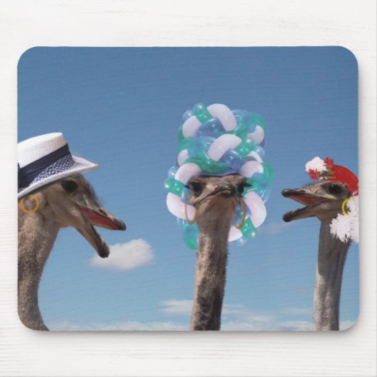 De waanzinnige Dag van het Pet in Races Muismat (Voorkant)