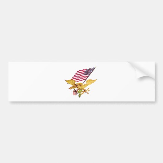 DE WAARDE PATRIOTEN VERDEDIGEN DE GRONDWET BUMPERSTICKER (Voorkant)
