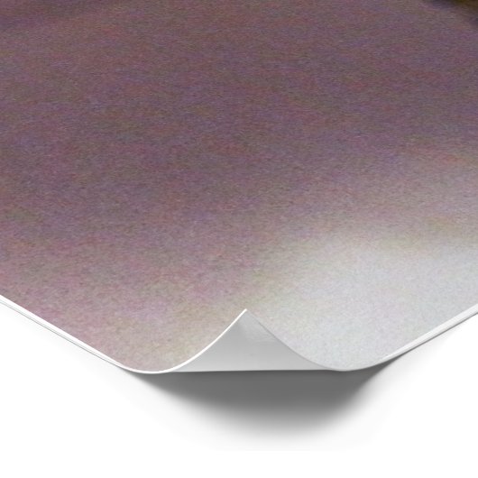 De waarheid is er. poster (Hoek)