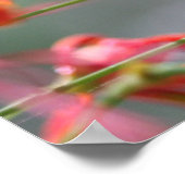 De waarheid zal u vrij Poster, Versie C Poster (Hoek)