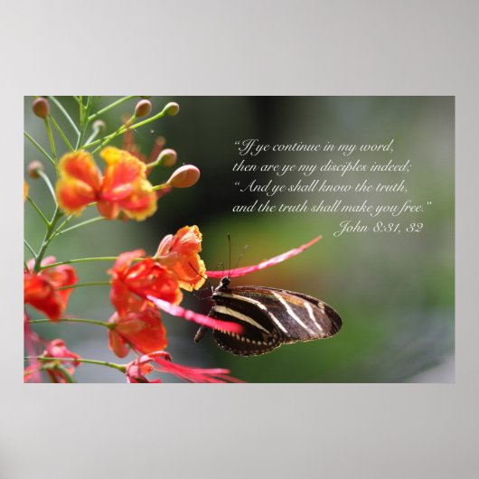 De waarheid zal u vrij Poster, Versie C Poster (Voorkant)