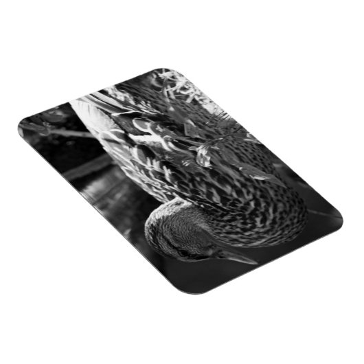 De Waarnemer Magneet (Rechterzijde)