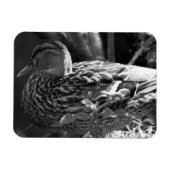 De Waarnemer Magneet (Horizontaal)