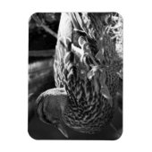 De Waarnemer Magneet (Verticaal)