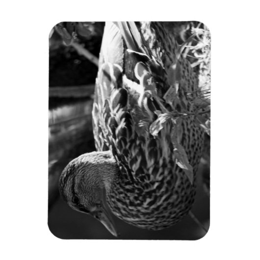 De Waarnemer Magneet (Verticaal)