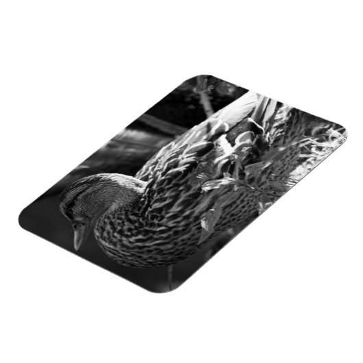 De Waarnemer Magneet (Linkerzijde)