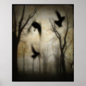 De waas van kraaien poster (Voorkant)