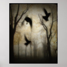 De waas van kraaien poster