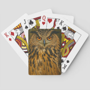 De wachter - Euraziatische arend-uil in het licht Pokerkaarten