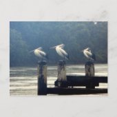 de wachttijd briefkaart (Voorkant)