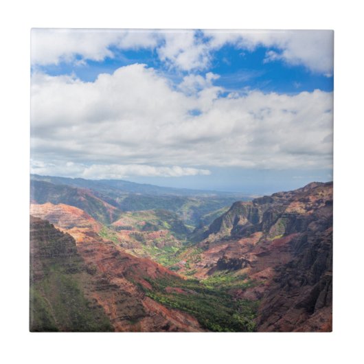 De Waimea Canyon Tegeltje (Voorkant)